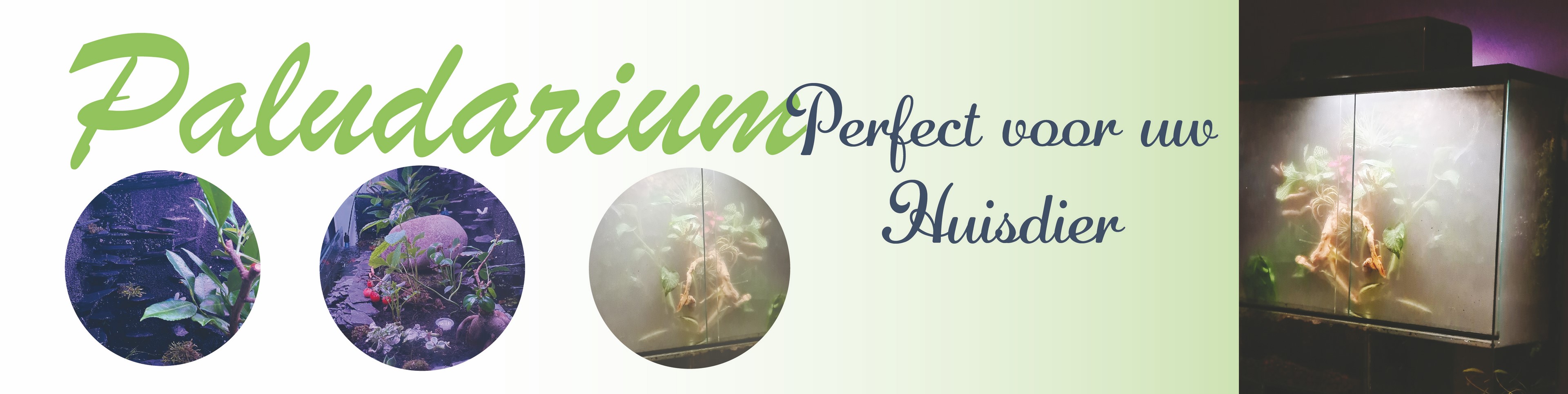 Paludarium bouw vraag een offerte aan